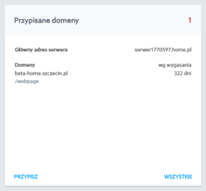 Panel Klienta - Ustawienia domeny - Jak ustawić przekierowanie poczty w domenie.