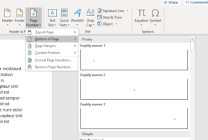 Page number in Microsoft Word