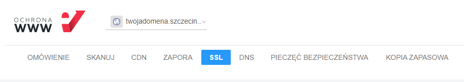 Aby wgrać własny certyfikat SSL, przejdź do sekcji: SSL.