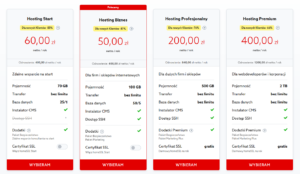 Przykładowa oferta na hosting stron internetowych