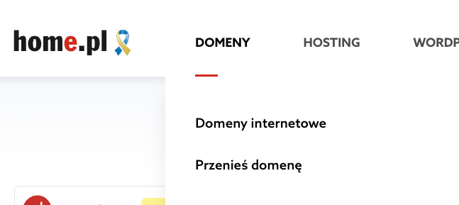 Jak kupić domenę?