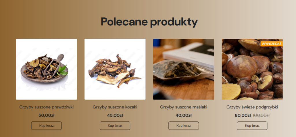 Polecane produkty w sklepie Sellastik