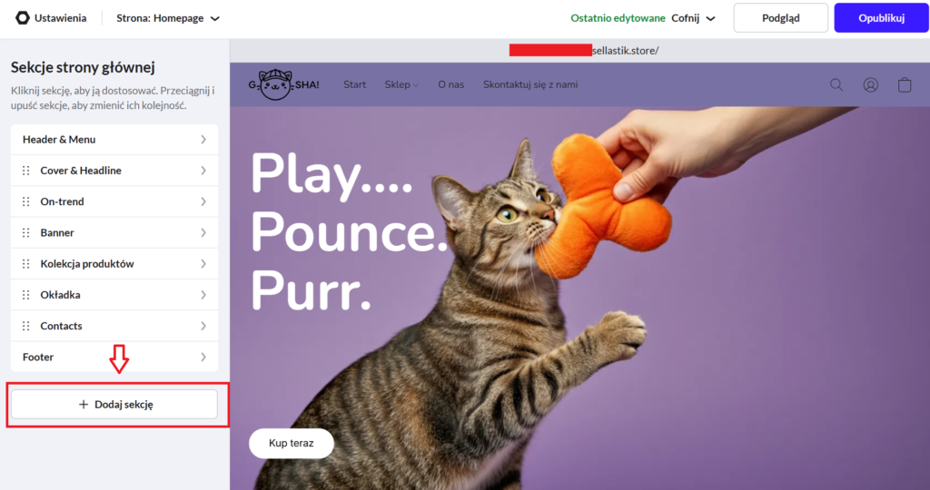 2. Kliknij Dodaj sekcję, a następnie przewiń w dół do Opcje zaawansowane